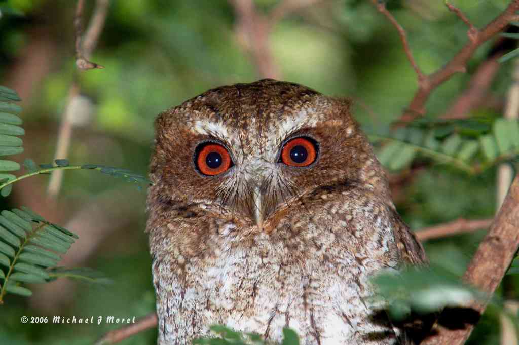 ¿Qué hay con el&nbsp;silencio?